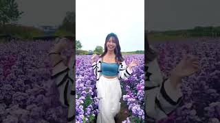 タイ🇹🇭チェンマイにあるお花畑♡可愛かった🤭 #thailand #旅行 #Chiengmai #旅女 #海外旅行 #タイ移住 #タイ観光 #タビジョ