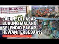 Sanggar Ikan Hias Akuarium Kabupaten Sidoarjo Jawa Timur
