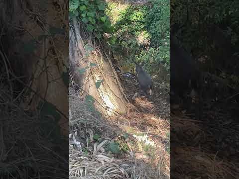 22 de septiembre de 2025