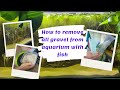 Best Way To Remove Gravel From Aquarium