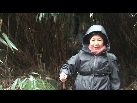 《落花春泥》陳芯宜影片縮圖