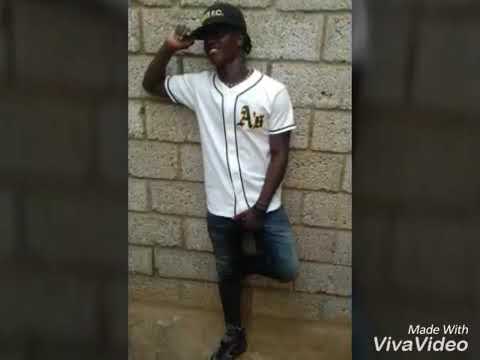 Sangue berdianoh __vida