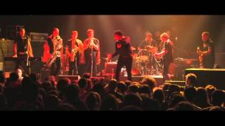 DAY588 - King Khan & The Shrines - Luckiest Man