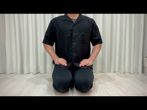 TNR予定だった子猫たちについて。