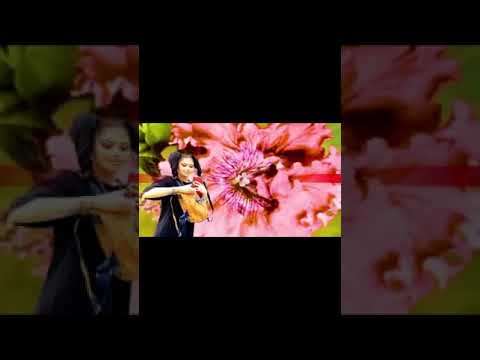 nexip9 #beatbox freestyle