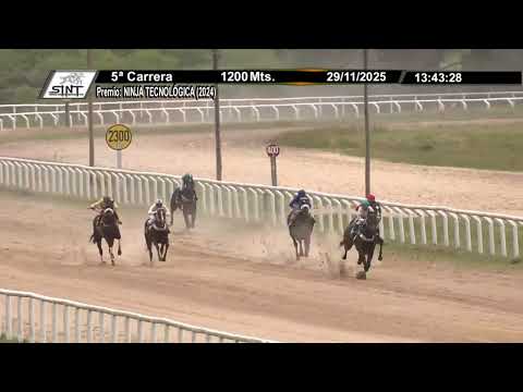 SINT MELO 251129 c05 - BARBARIDADE