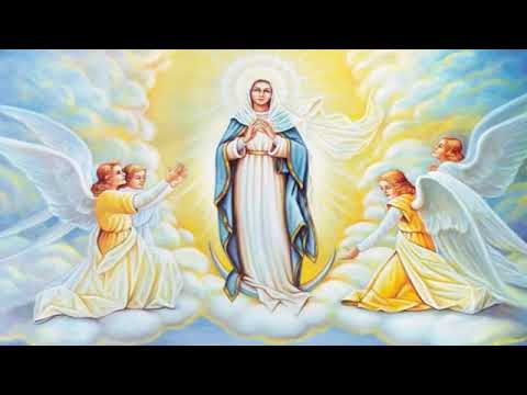 Holy Rosary - Sorrowful Mysteries - Tuesday & Friday