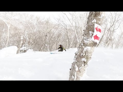 Video: 【ツリーラン制覇】安比のツリーランを高速で滑りながら一気に紹介します｜TAKEHIRO