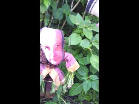 Mélina Tobiana on Philippe Teissier du Cros