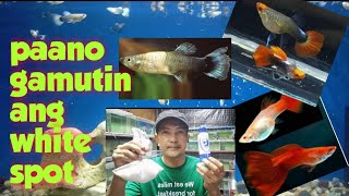 PAANO GAMUTIN ANG WHITE SPOT | HOW TO CURE WHITE SPOTS ON FISH | WHITE SPOT OR ICH,PAANO PAGALINGIN.