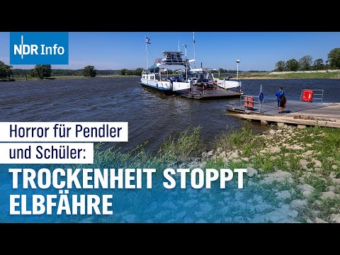 Dürre und Niedrigwasser in Deutschland: Elbfähre "Tanja" muss Betrieb einstellen | NDR Info