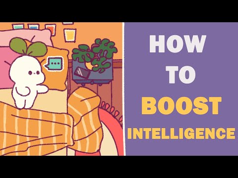 6 Habits To Boost Your Intelligence