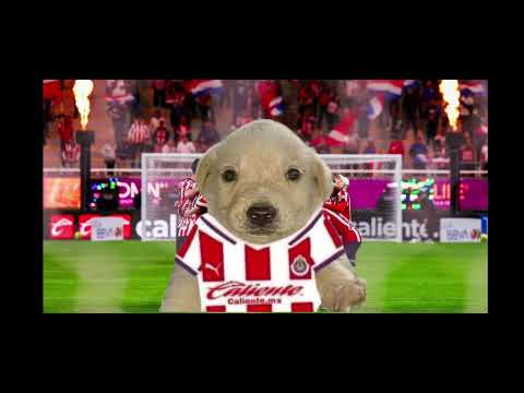 Resumen del partido entre Necaxa y Chivas en la jornada 2