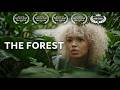 He Thought He Was Alone The Forest Full Movie