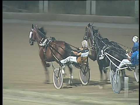 Trotto 05/08/2017 - 6ª corsa