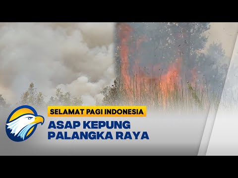 Kebakaran Lahan, Palangka Raya Dikepung Asap