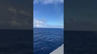 Royal Caribbean Allure of the Seas Views from Oceanview Balcony