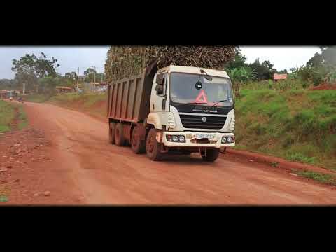 PANOS BIRBAS AND THE NILE BEAT ARTISTS – CHILD OF THE WILD