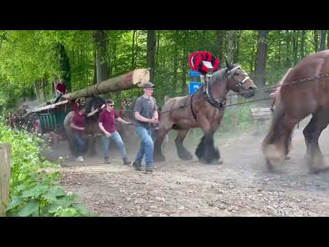 Mei-Den Halen Mheer 2022 (1/4)