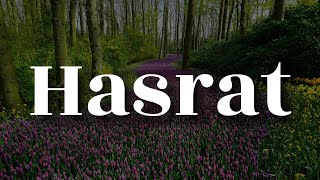 Download lagu Amir Jahari - Hasrat (Lirik) mp3