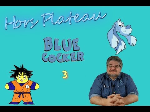 Hors Plateau 2 - Blue Cocker 3/4 - L'évolution du secteur ludique