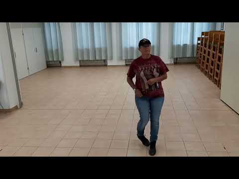 Tag On Lernvideo Teach & Dance Line Dance Biene Teil 1