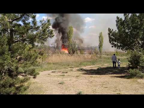 Пожар в парке Лески в Николаеве. Похоже поджог