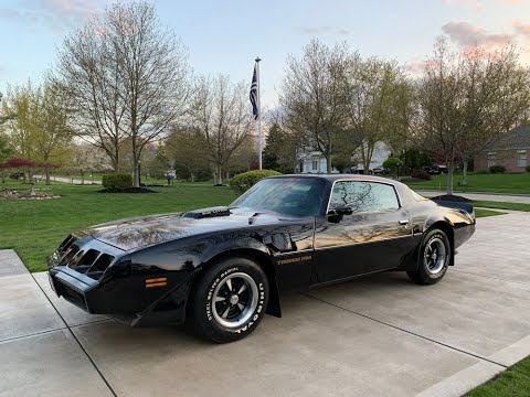 1979 Pontiac Firebird Trans Am (CC-1350395) for sale in NORTH ROYALTON, Ohio