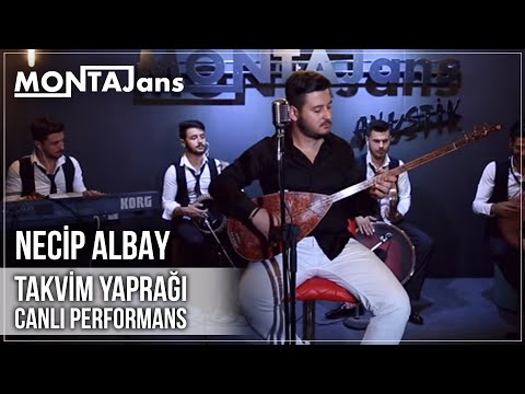Necip Albay - Takvim Yaprağı (Canlı Performans)