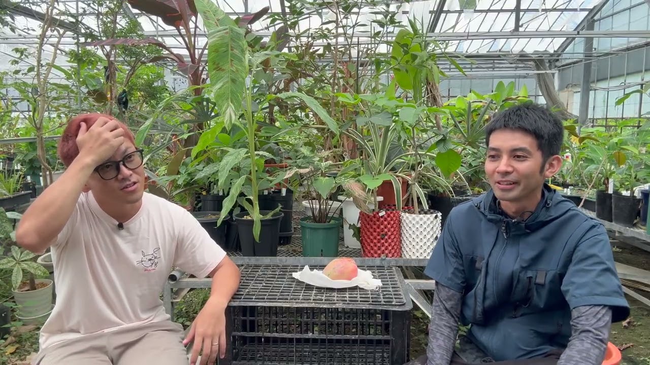 YouTubeサムネイル