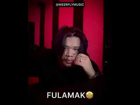 MEERFLY • NEW SONG