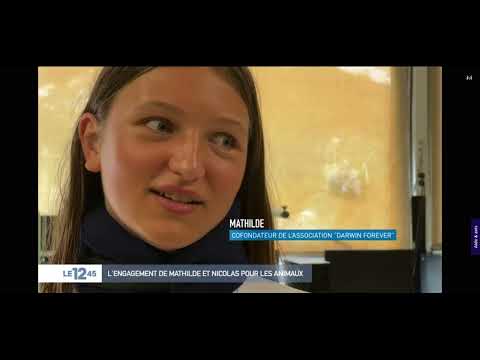 Reportage de M6 JT 12H45 2.09.2022 - Darwin Forever