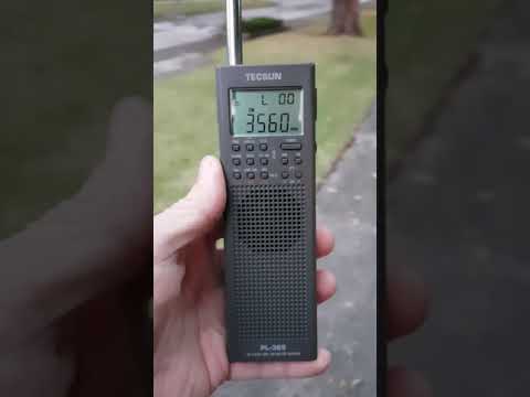 Pedestrian portable 80m SSB receive on tecsun PL-365
