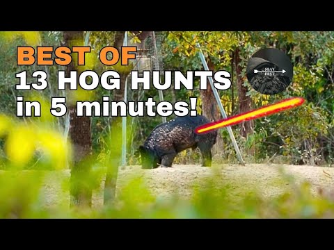 13 Wild Hog Hunts in 5 Minutes!!! - Bow Hunting Hogs