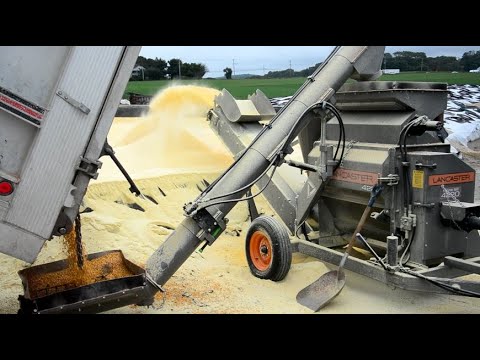 Grinding Corn With the 4220 Lancaster Parts Belt Discharge PTO drive