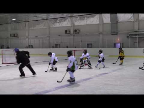 PiTa-01 (black) - EJK-01 (tigers) 5.12.2009