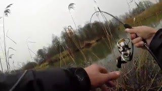 Техника ловли на силиконовые приманки