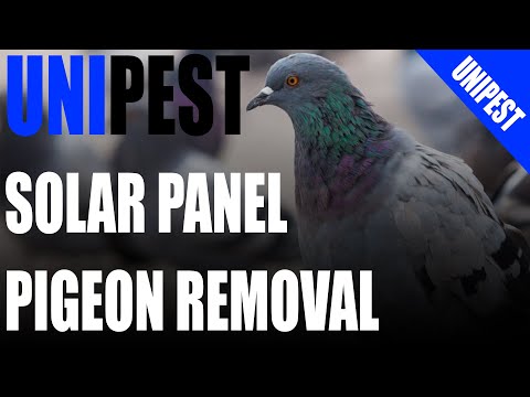 image-How do you remove solar panels from roof? 