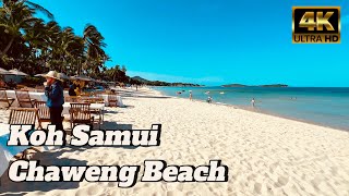 4K Chaweng Beach Walk 🏝️ | Discover Koh Samui's Busiest Beach 🌊🍹 Hotels, Bars & 