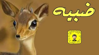 شيلة ضبيه سعد محسن حصرياً 2024