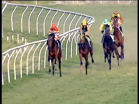 Galoppo 22/02/2019 - 2ª corsa