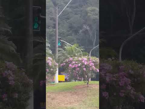 A LINDA CIDADE DE MARECHAL FLORiANO   NO ES BRAZIL