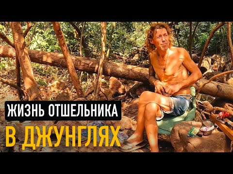 Встретил отшельника в джунглях ГОА. Люди живущие в лесу Индии 🌴