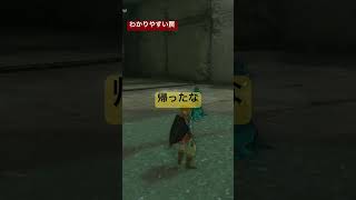 【 #ゼルダの伝説ティアーズオブザキングダム 】ツルギバナナと言えば
