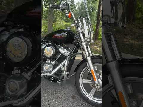 FXST 2023 Softail® Standard