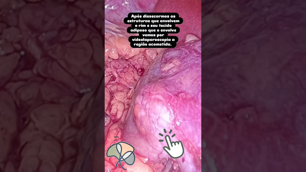 Fabiana Martino Sehn-15