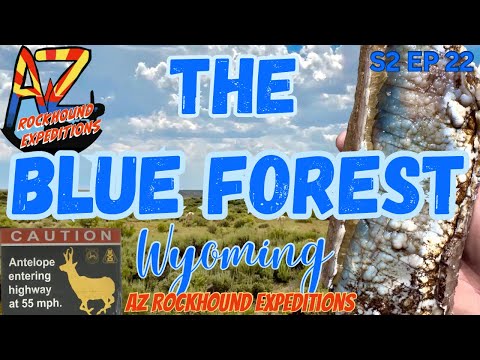 Rockhounding The Blue Forest in Wyoming S2 EP22