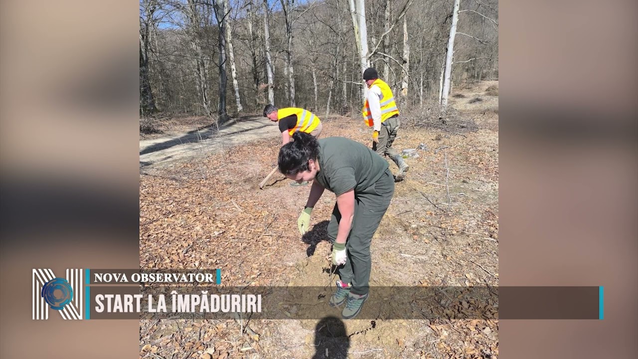 Start la împăduriri