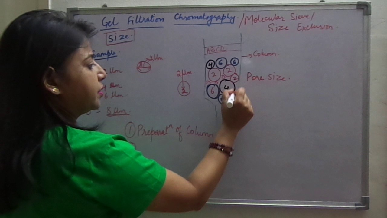 The Concept Of Gel Filtration Chromatography