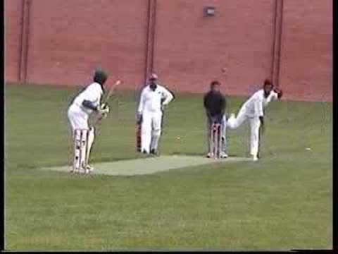 Cricket in Colorado 1